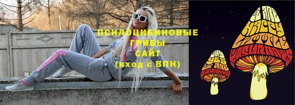 гидропоника Каменногорск