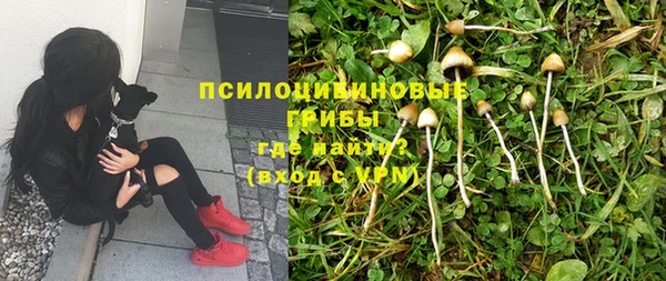 гидропоника Каменногорск